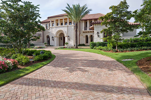 Best Affordable Driveway Paving  in Mount Olive, MS