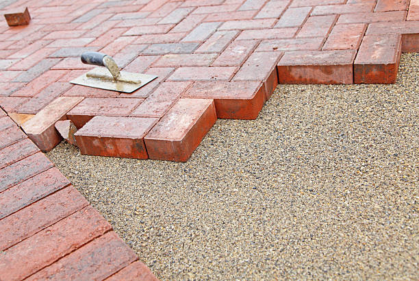 Best Driveway Paving Contractor  in Mount Olive, MS