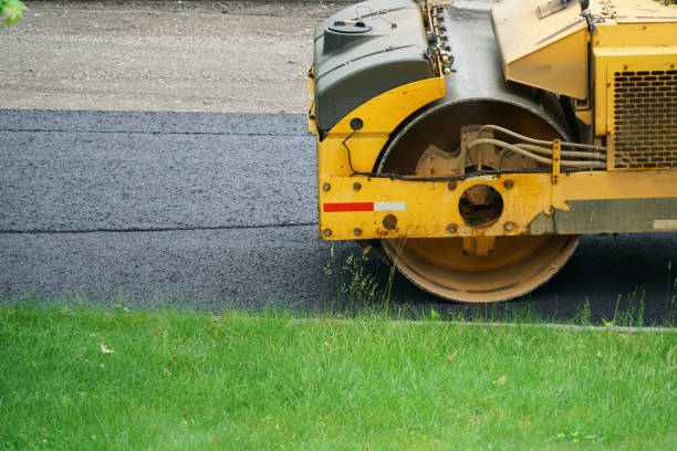 Best Local Driveway Pavers  in Mount Olive, MS